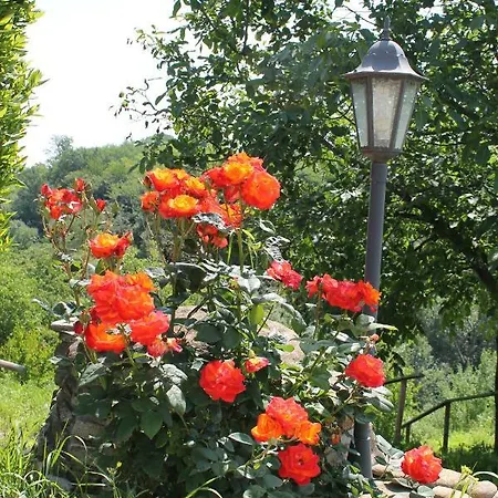 Arcadia Nyaraló